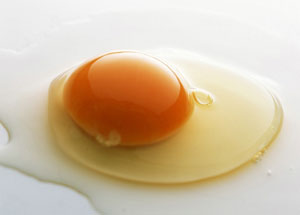 Egg Flavour