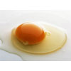 Egg Flavour