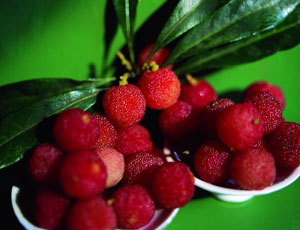 Berry Fruit Flavour